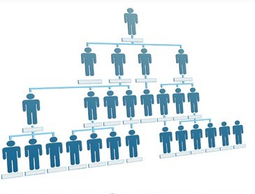 mlmscripts: Readymade MLM Script | Open Source MLM Script